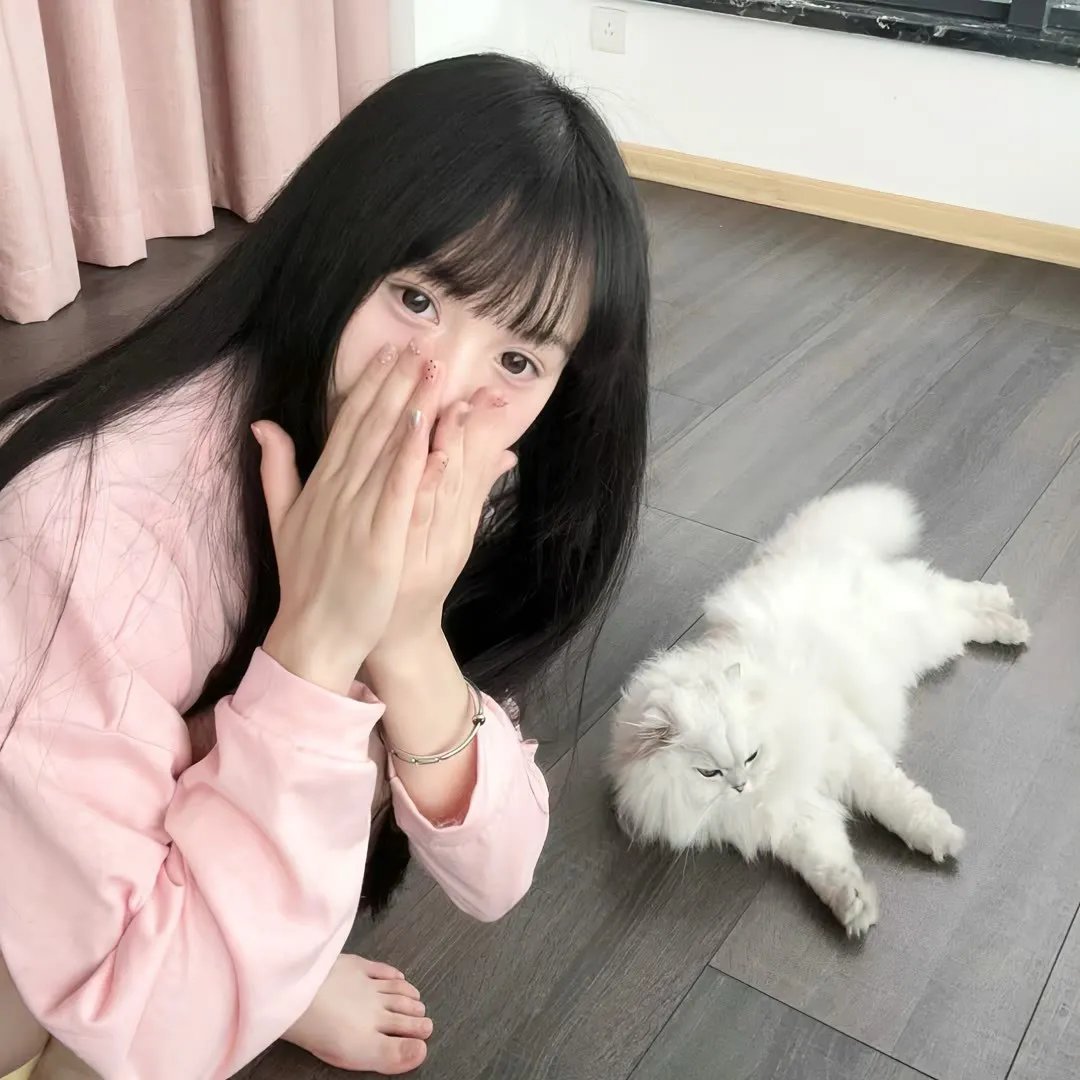 太阳花